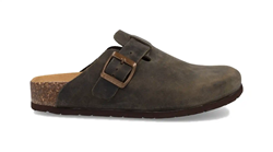 SABOT 11 VEGAS IMB CRAZY HORSE BOSCO